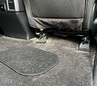 car detailing richmond hill – Pet Hair Removal